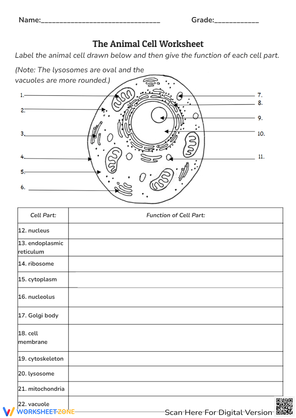 10th Grade Animal Cell Worksheets Printable 10th Grade Animal Cell Worksheets Printable