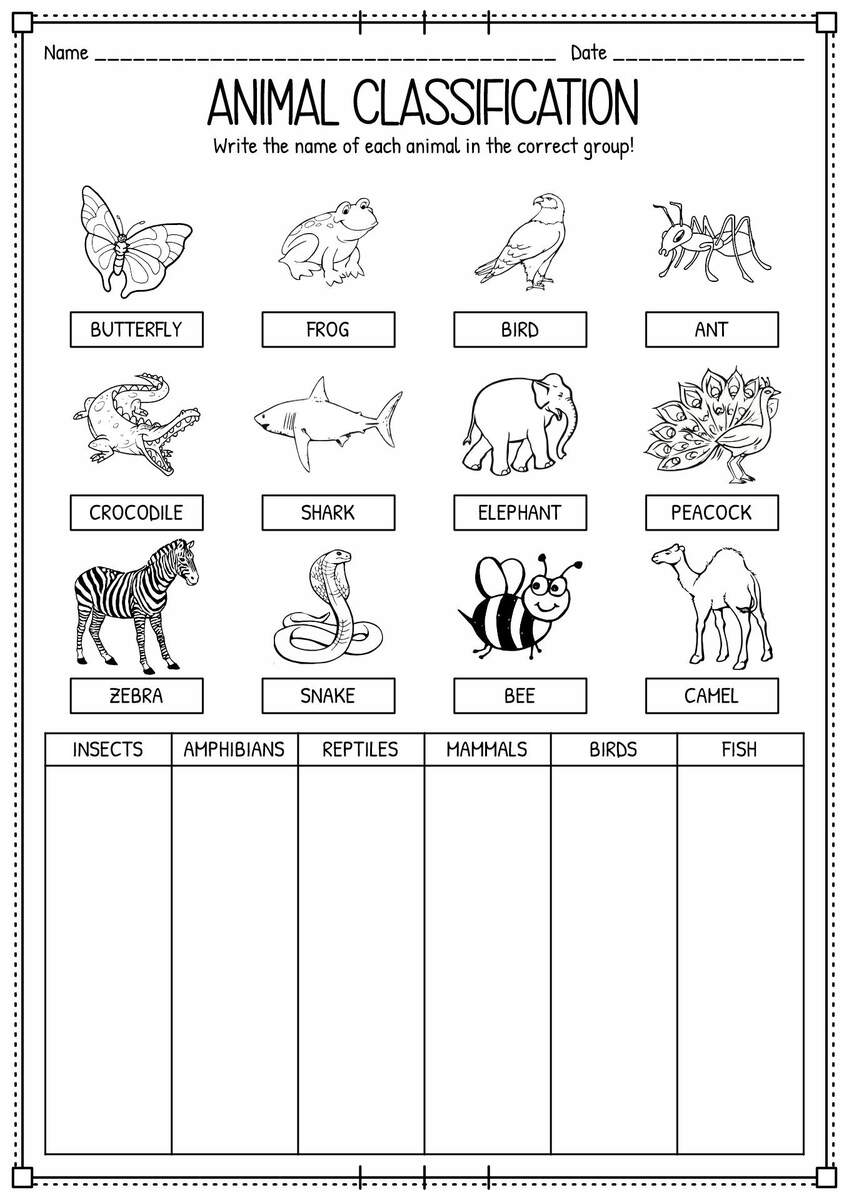 15 Classifying Animals Worksheets Preschool