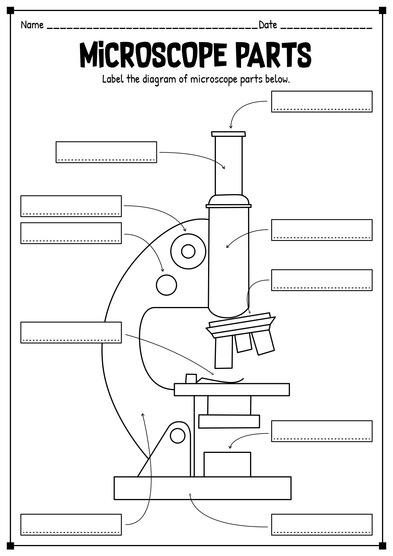 15 Printable Microscope Worksheet Free PDF At Worksheeto 15 Printable Microscope Worksheet Free PDF At Worksheeto