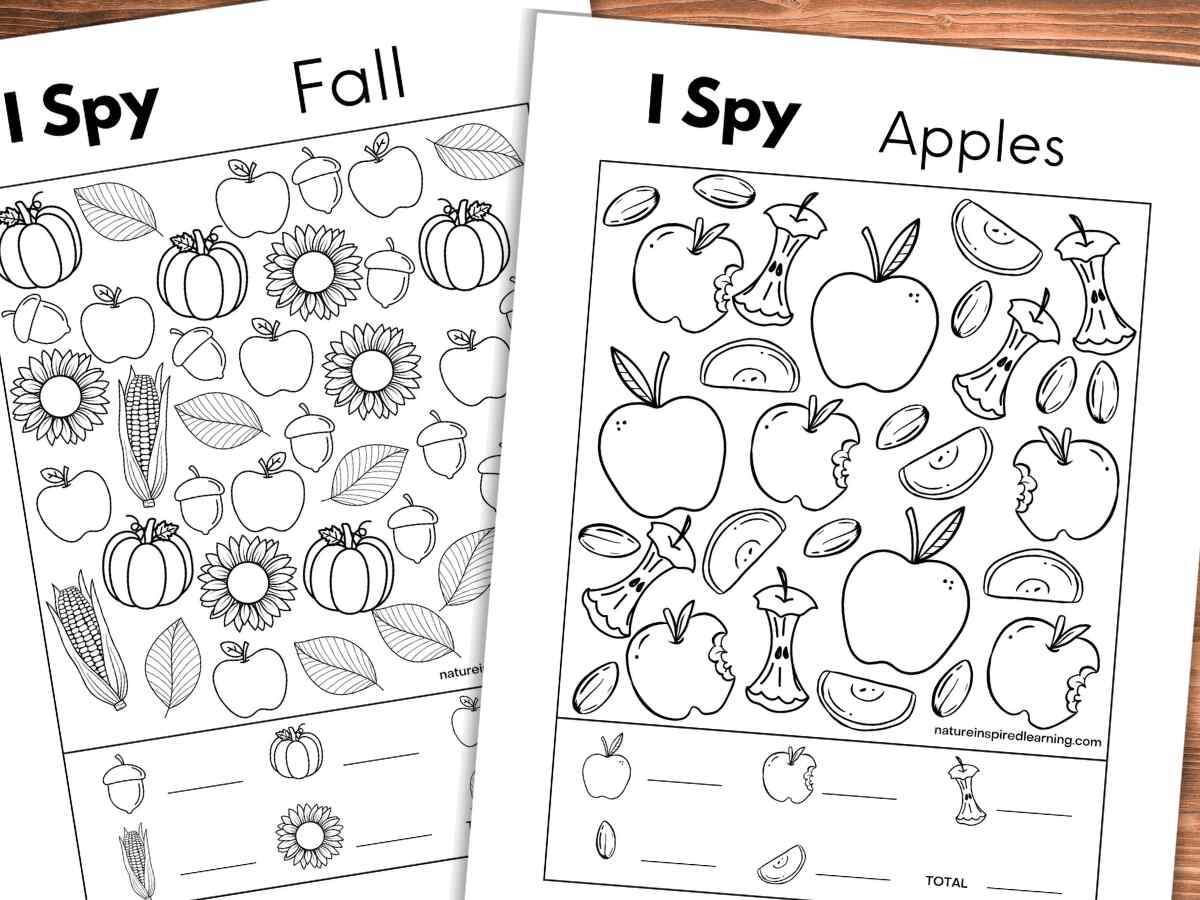 8 Fall I Spy Printables Nature Inspired Learning 8 Fall I Spy Printables Nature Inspired Learning