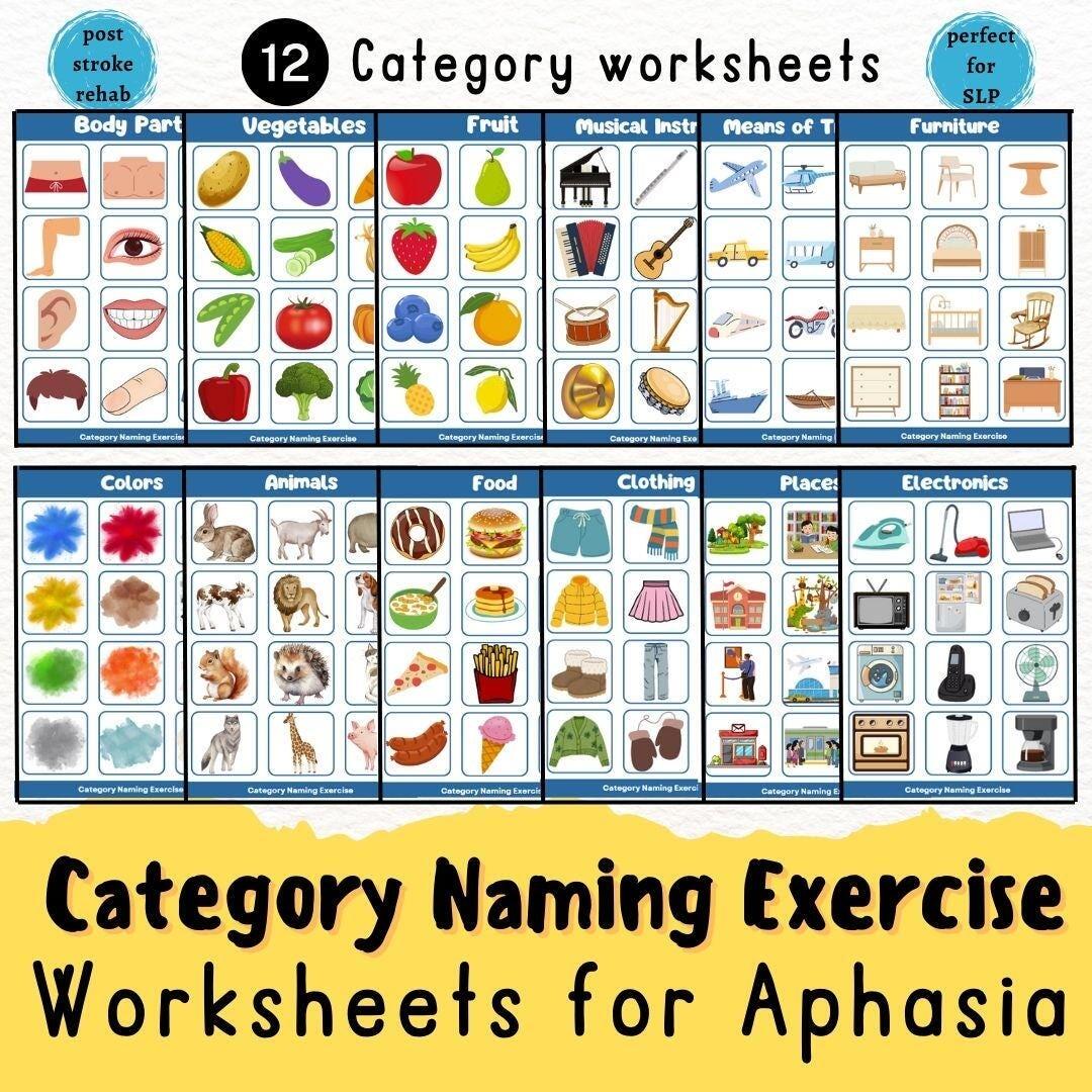 Aphasia Printable Post Stroke Rehabilitation Categorizing Worksheets Head Injury Speech Therapy Tool SLP Dementia Caregiver Recourse Etsy