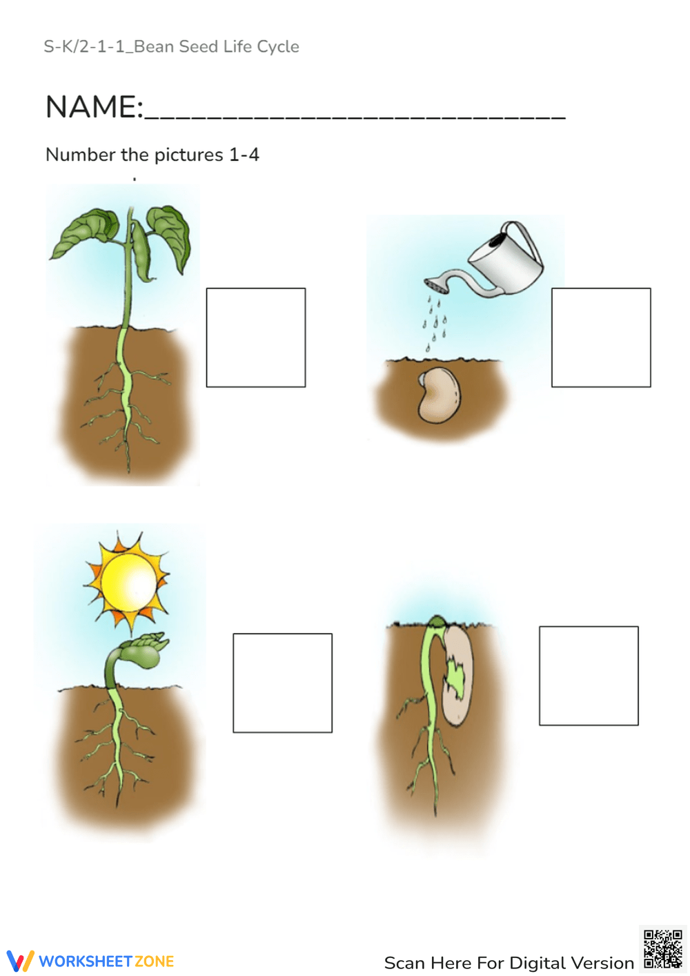 Life Cycle Of A Bean Bean Life Cycle Instant Download STEM Workbook Digital Download Kid S Workbook Lima Beans Etsy