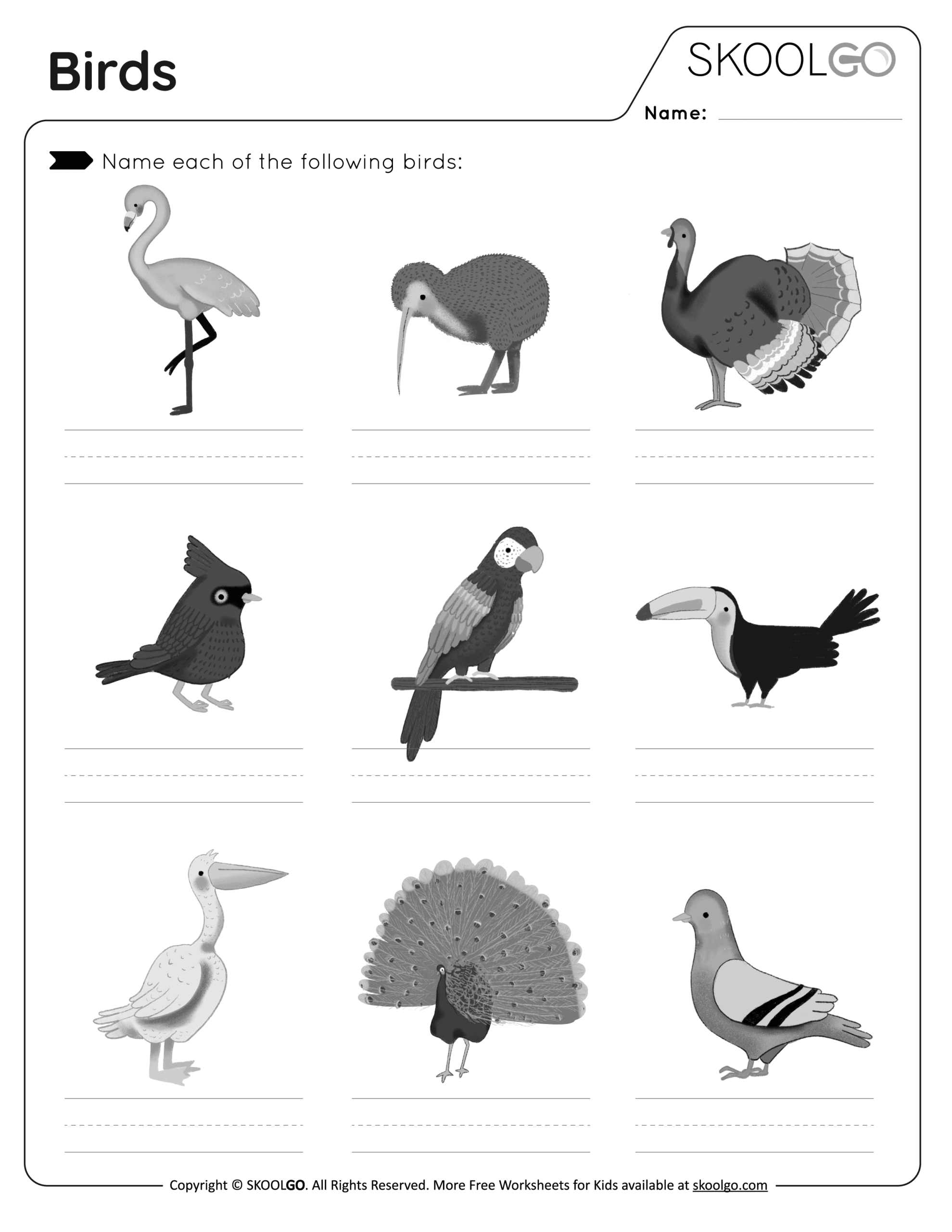 Printable Birds Left Or Right Spatial Thinking Worksheet For Kids
