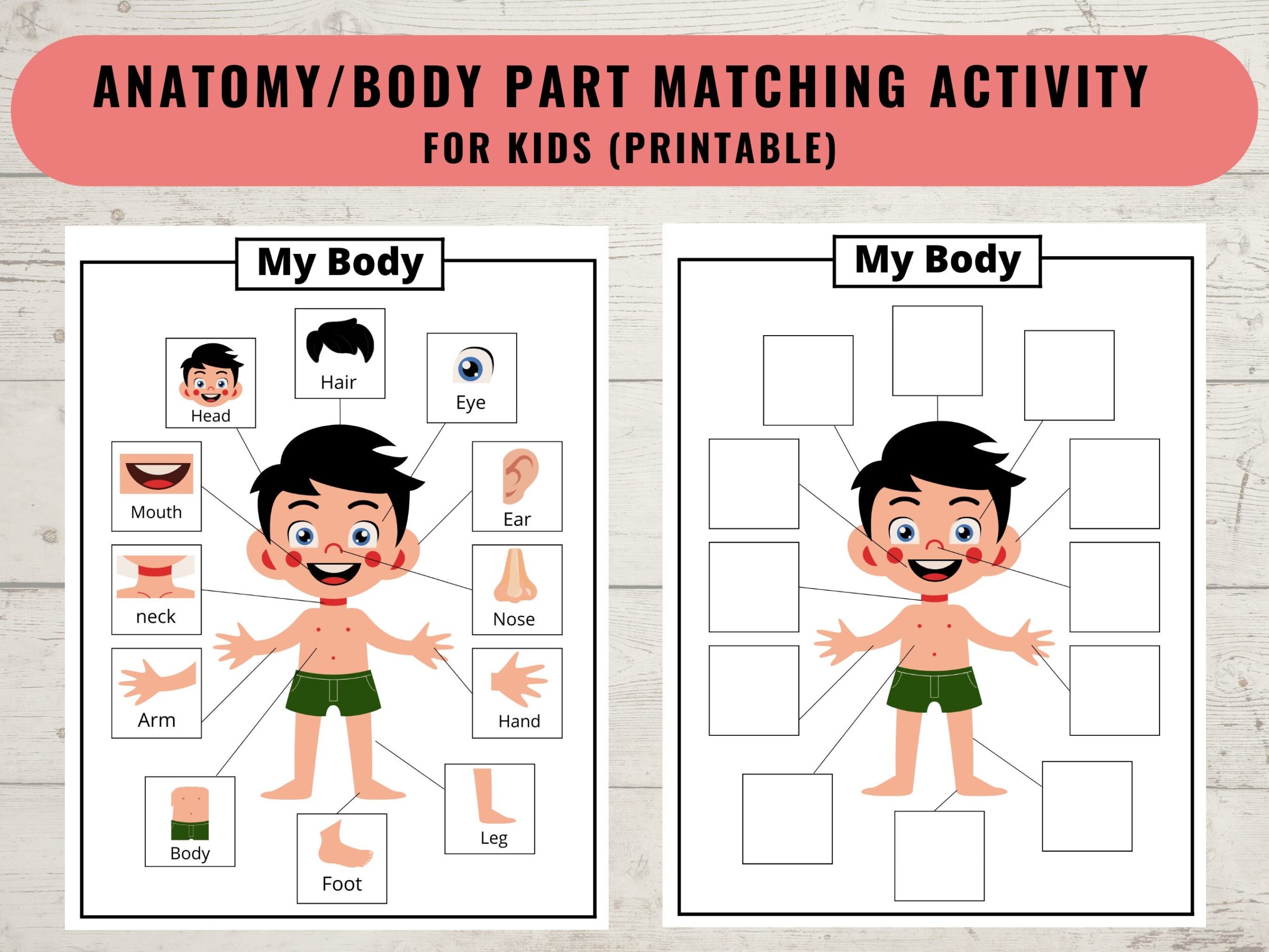 Body Parts Printable Activity For Kids Human Body Printable Matching Game Worksheet Coloring Page Homeschool Preschool Digital Download Etsy Denmark