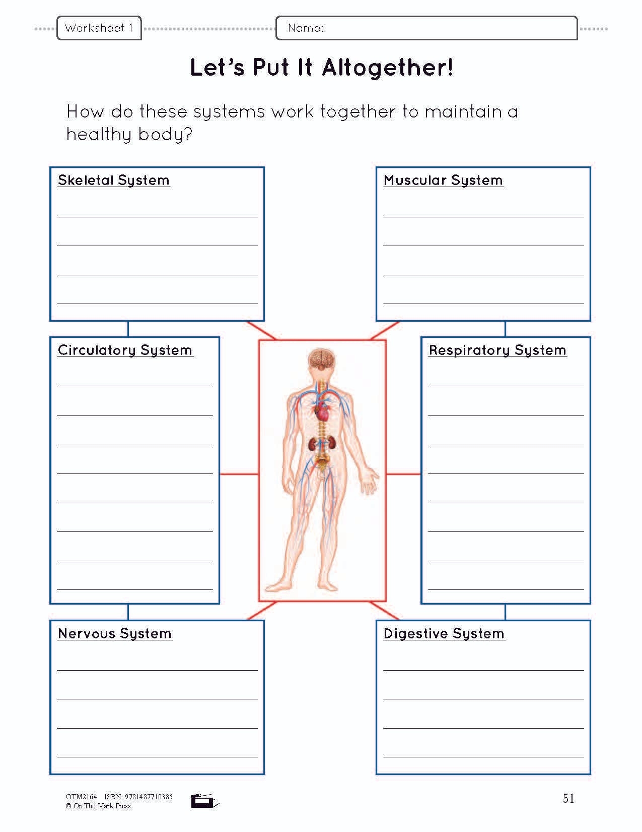 Body Systems Lesson Worksheets E Lesson Plan Grade 5 Worksheets Library Body Systems Lesson Worksheets E Lesson Plan Grade 5 Worksheets Library