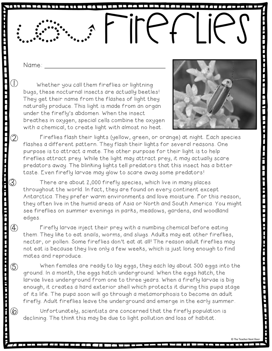 Citing Text Evidence In 6 Steps Upper Elementary Snapshots