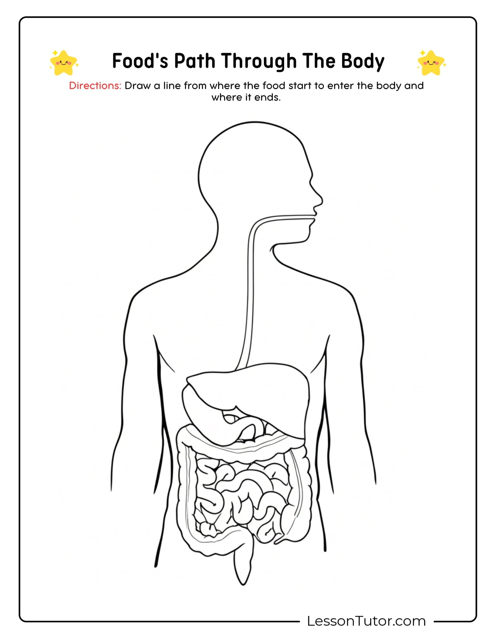 Digestive System Worksheets Lesson Tutor Digestive System Worksheets Lesson Tutor