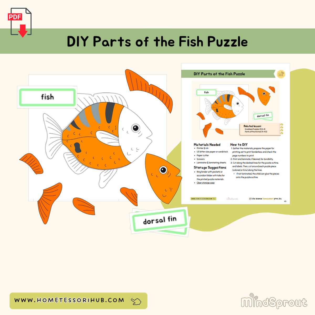 DIY Parts Of The Fish Booklets Zoology Montessori Printable Material Made By Teachers DIY Parts Of The Fish Booklets Zoology Montessori Printable Material Made By Teachers