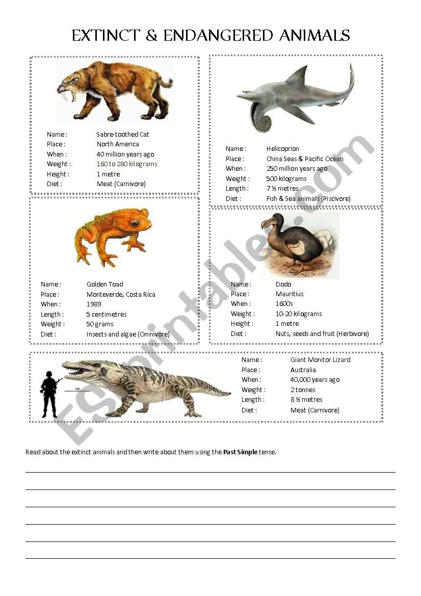 Endangered Animal Worksheet Learn And Protect Wildlife