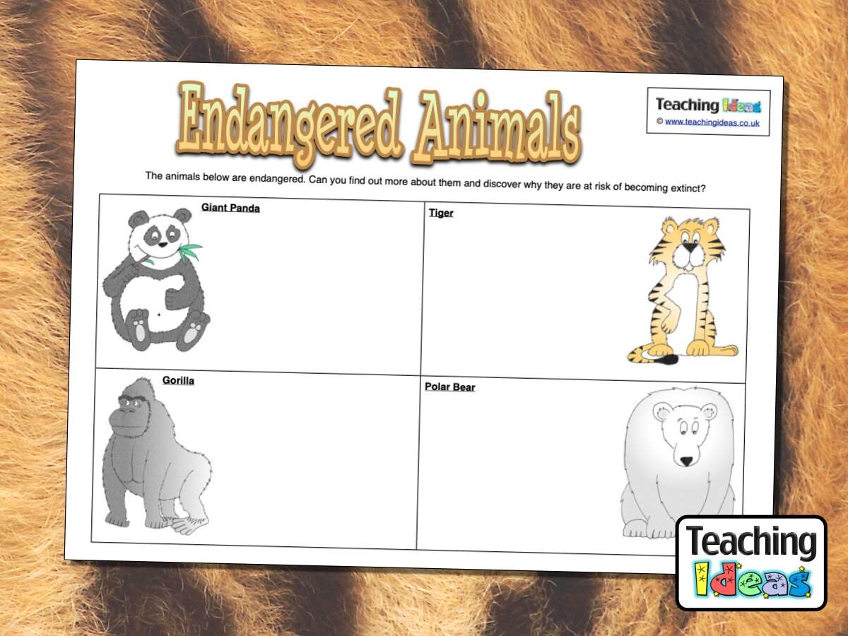 Endangered Animals Activity Teaching Ideas