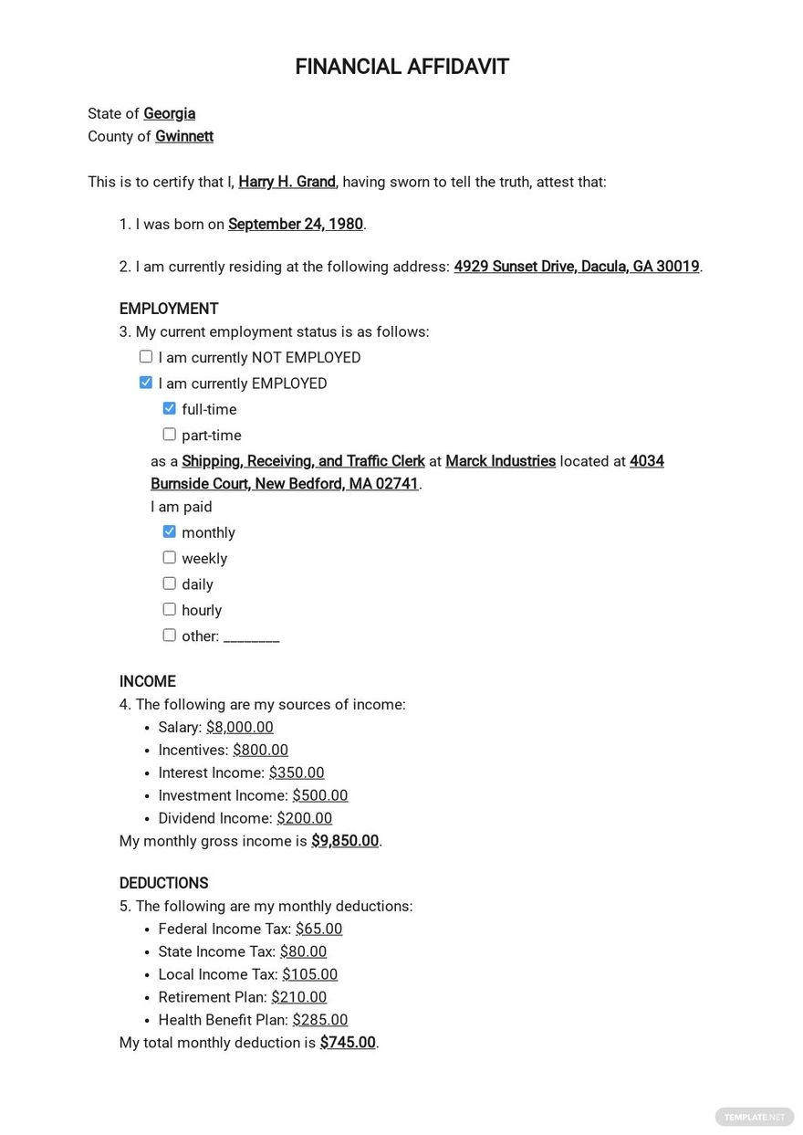 Financial Affidavit For Child Support Template In Word Google Docs Download Template