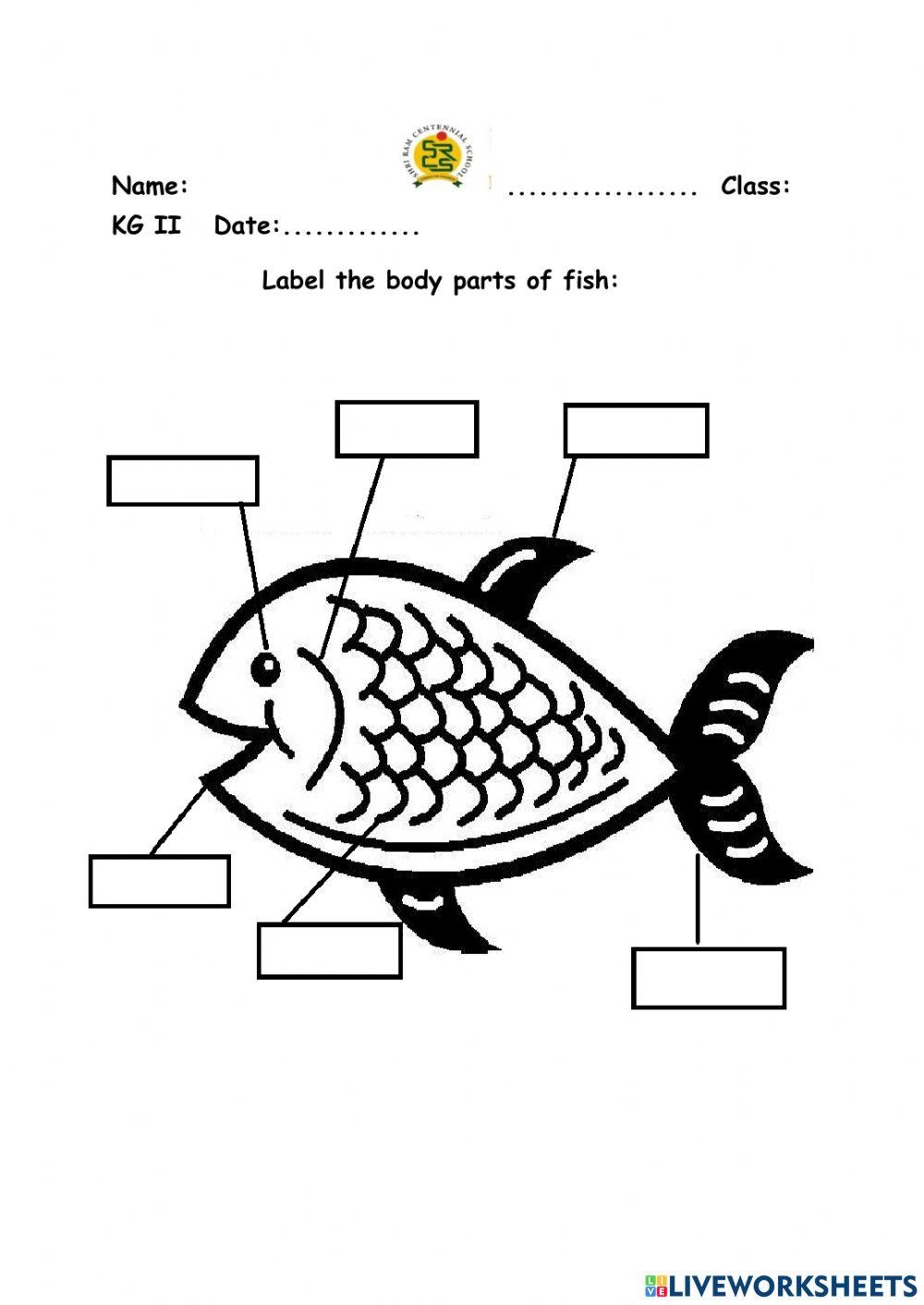 Fish Body Parts Kanika Verma Worksheets Library Label The Fish Worksheet Kidpid