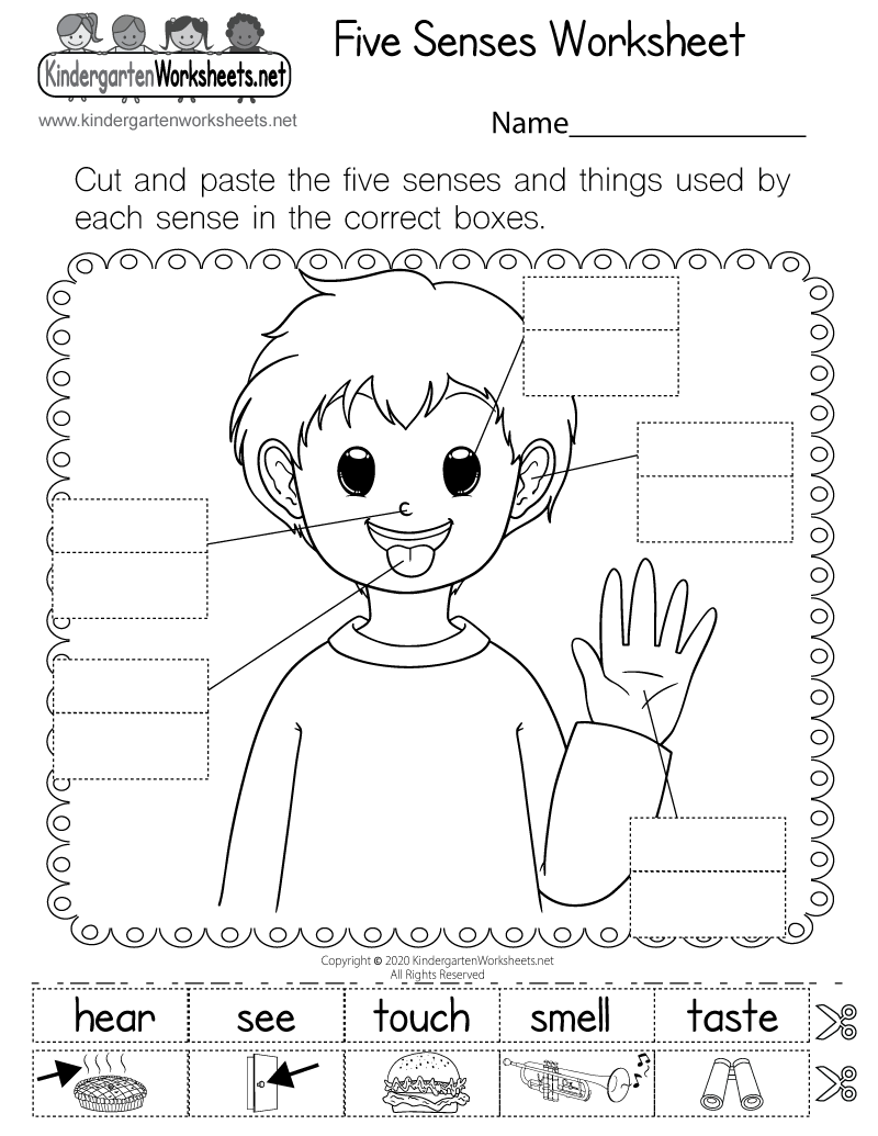 Five Sense Worksheet NEW 225 FREE FIVE SENSES WORKSHEETS FOR FIRST GRADE Five Sense Worksheet NEW 225 FREE FIVE SENSES WORKSHEETS FOR FIRST GRADE