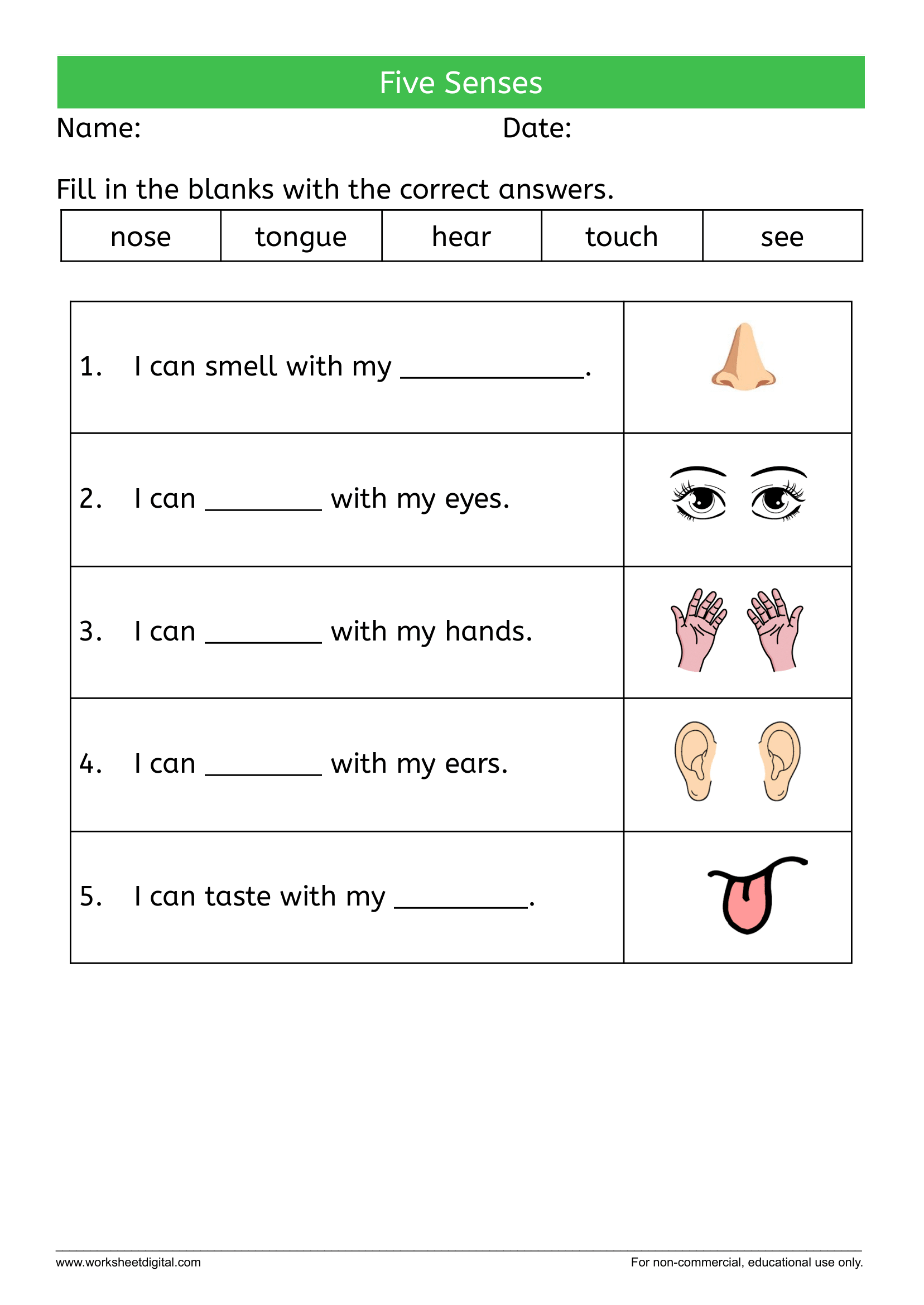 Five Senses Worksheet Digital 1 Teacher Made Resources Five Senses Worksheet Digital 1 Teacher Made Resources
