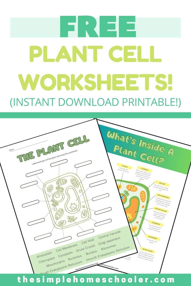 Free Plant Cell Worksheets With Answer Key The Simple Homeschooler Printable Plant Cells Worksheets