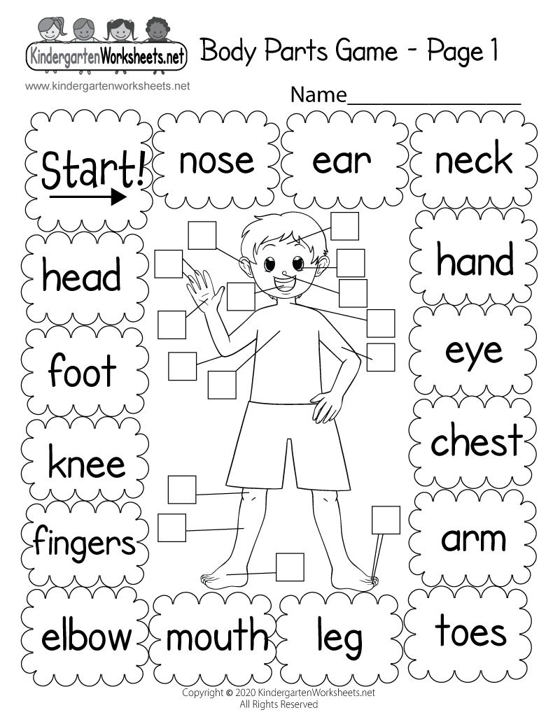Parts Of The Body Free Worksheet SKOOLGO