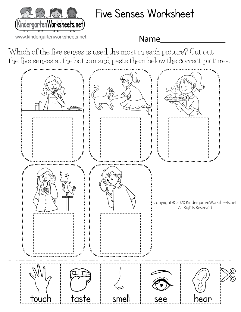 Five Senses Worksheet Free For Kindergarten And Grade 1