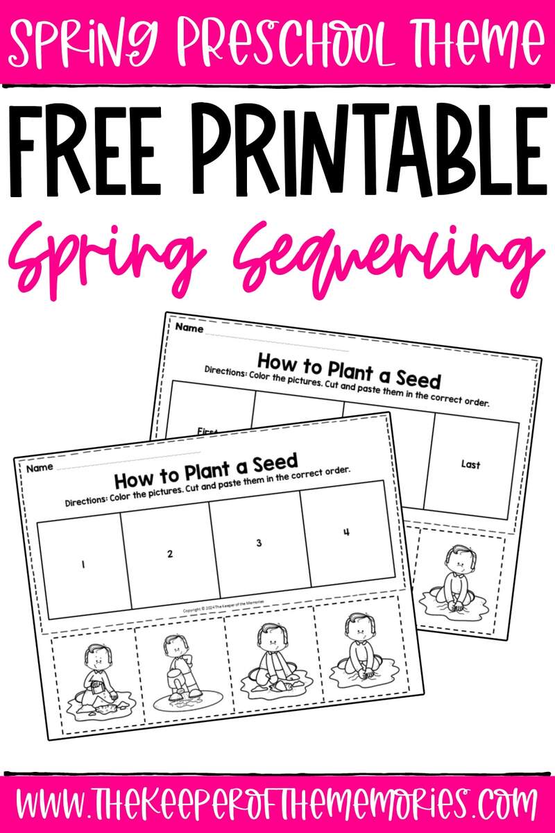 Life Cycle Of A Plant Worksheet Download Now