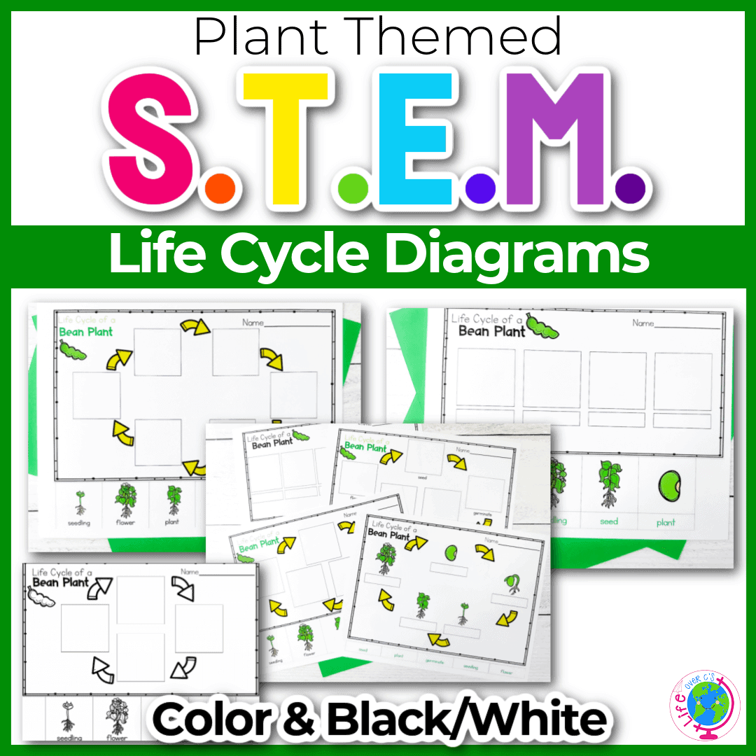 Free Printable Life Cycle Of A Bean Plant Diagrams For Kids