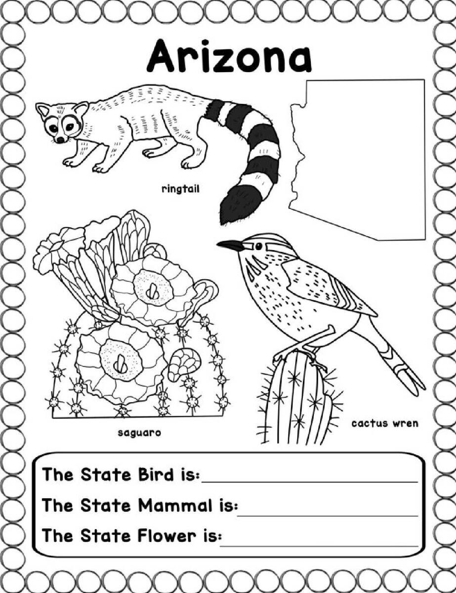 Free US States Worksheets PDF Printable Coloring Pages Free US States Worksheets PDF Printable Coloring Pages