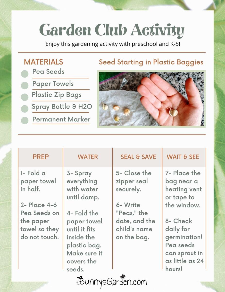 Garden Club Activities Free Gardening Printables Bunny S Garden Garden Club Activities Free Gardening Printables Bunny S Garden