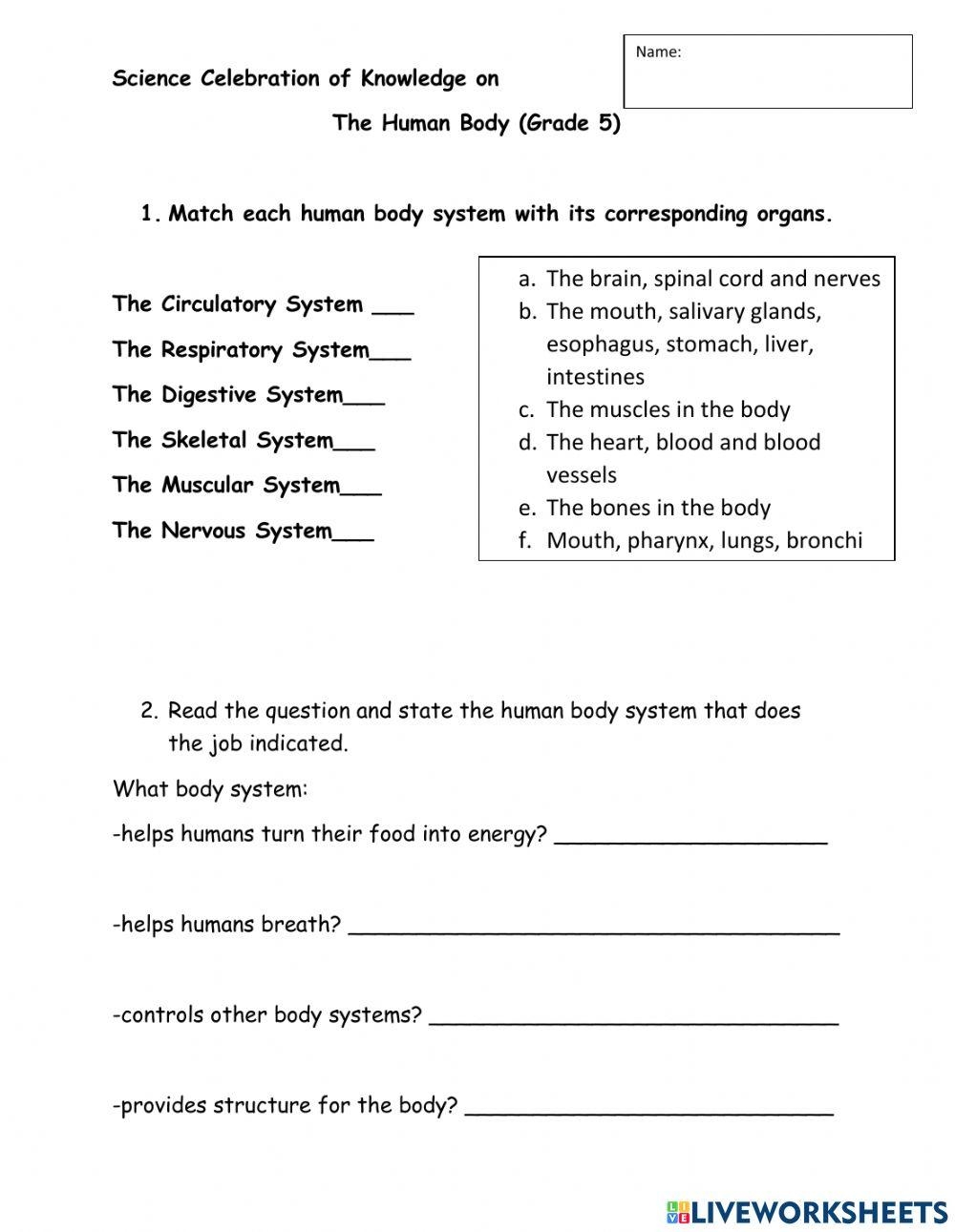 Grade 5 Human Body Celebration Of Knowledge Worksheet Live Worksheets Library Customize 81 Body Parts Worksheets Templates Online Canva