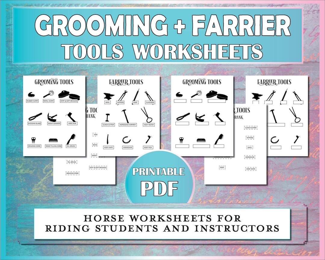 Horse Grooming And Farrier Printable Diagrams Equestrian Printable Worksheets For Horse Camp Riding Instructors Lessons Hippology Etsy Horse Grooming And Farrier Printable Diagrams Equestrian Printable Worksheets For Horse Camp Riding Instructors Lessons Hippology Etsy