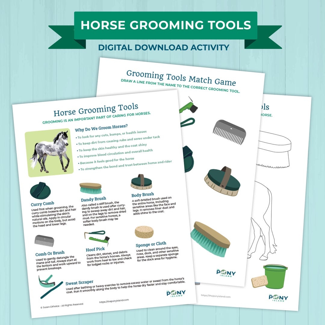 Horse Grooming Tools Activity PDF Download Etsy Horse Grooming Tools Activity PDF Download Etsy