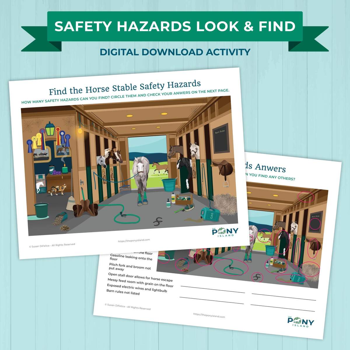 Horse Safety Worksheet Etsy