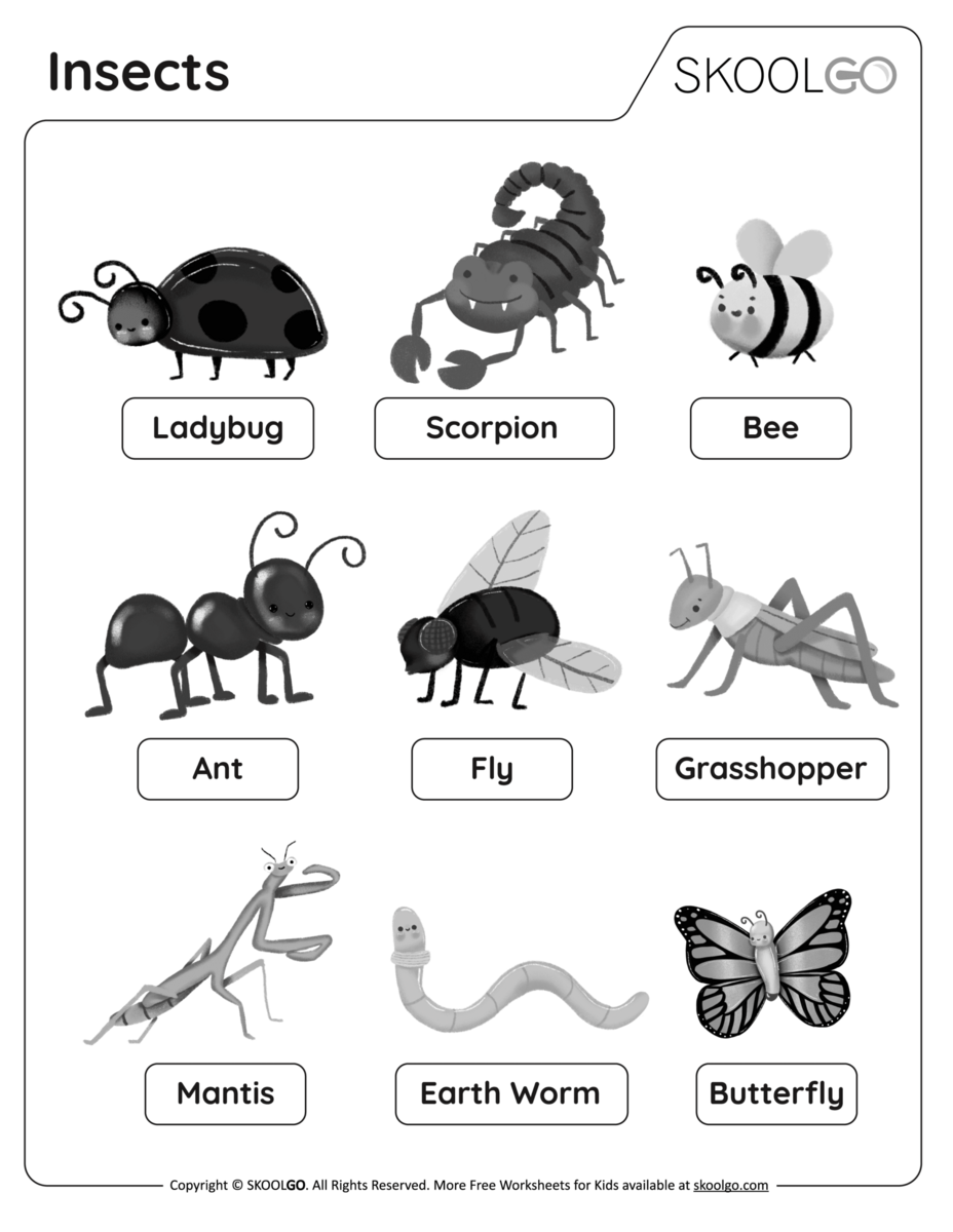 Insects Free Worksheet SKOOLGO FREE Printable Insect Worksheets For Kids