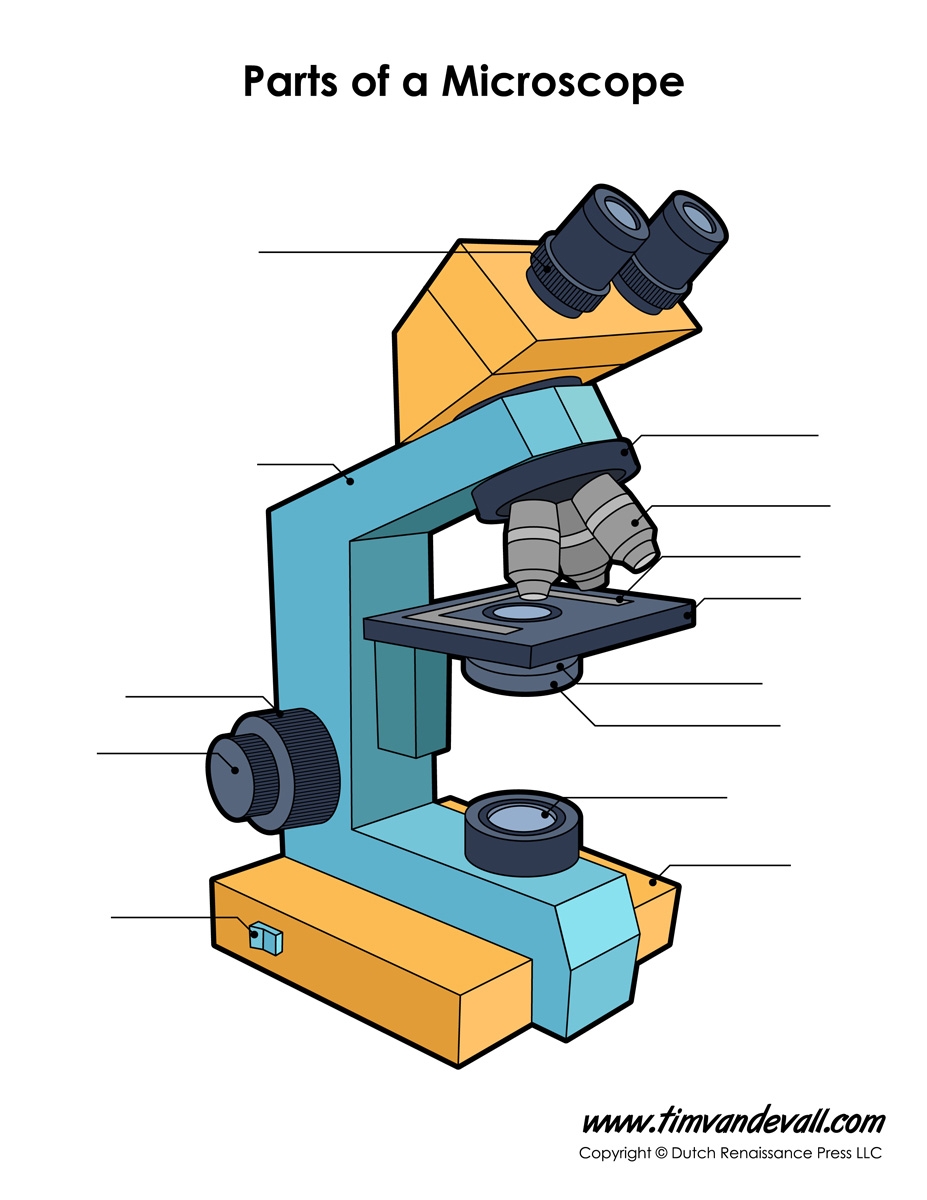 Microscope Diagram Labeled Unlabeled And Blank Parts Of A Microscope Microscope Diagram Labeled Unlabeled And Blank Parts Of A Microscope