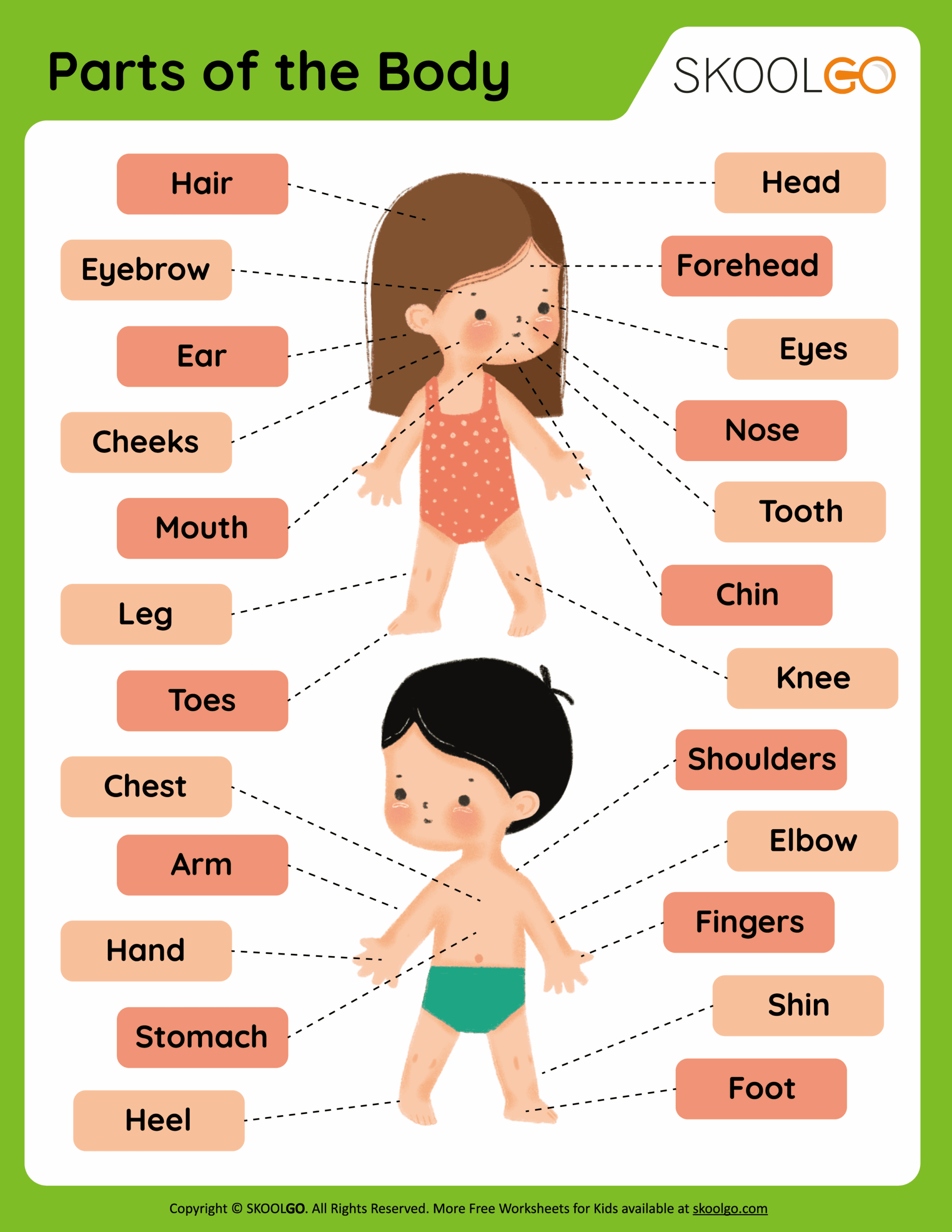 Body Parts Read And Choose Worksheets For Kids And ESL PDF Download Set 1 Ezpzlearn