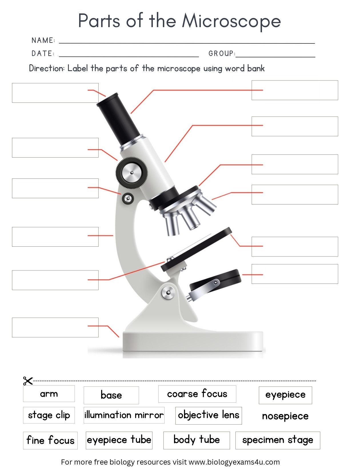 Parts Of The Microscope Worksheet With Answers Biology Worksheet Worksheets Library Parts Of The Microscope Worksheet With Answers Biology Worksheet Worksheets Library