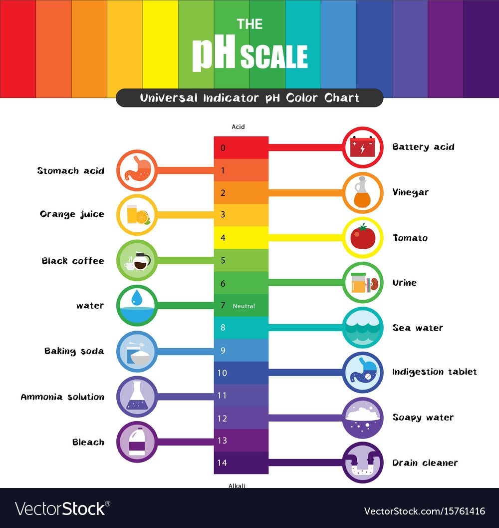 PH Scale Universal Indicator Chart Vector Image On VectorStock