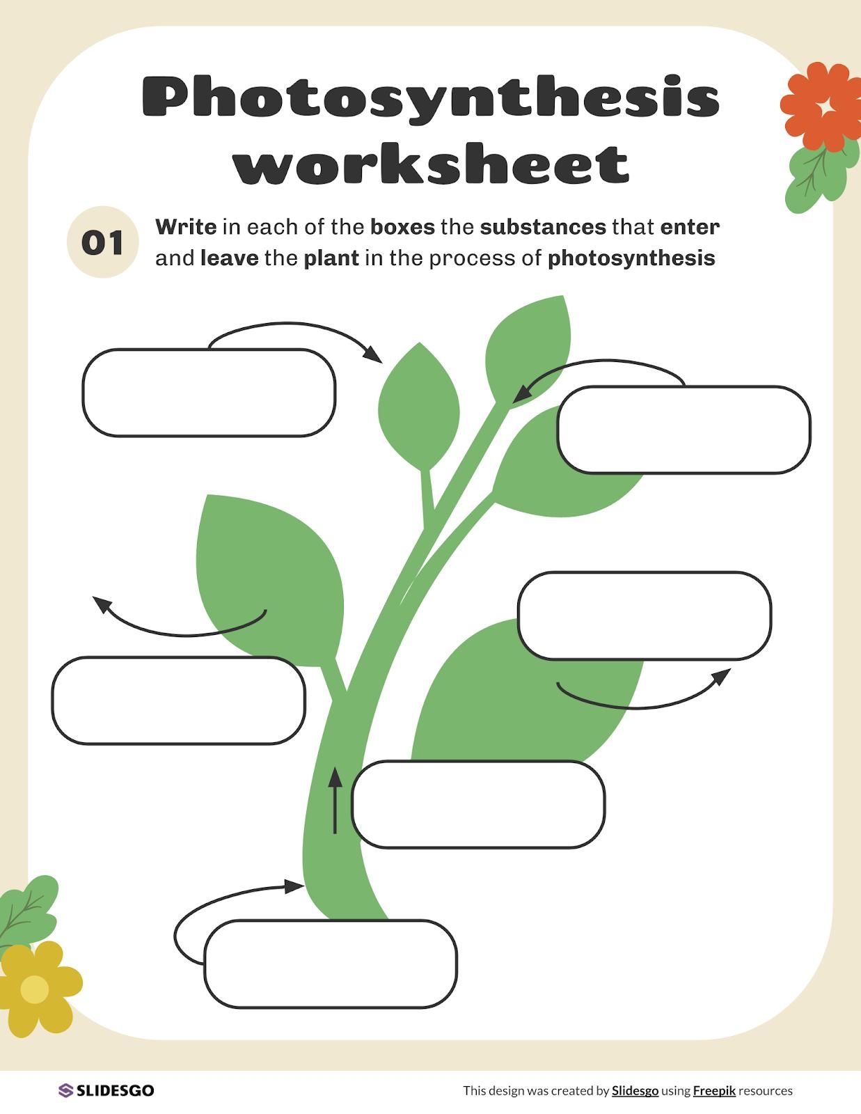 Photosynthesis Worksheet Template Photosynthesis Worksheet Template