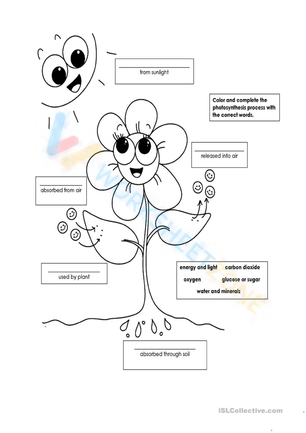 Photosynthesis Worksheets Storyboard That Photosynthesis Worksheet Templates