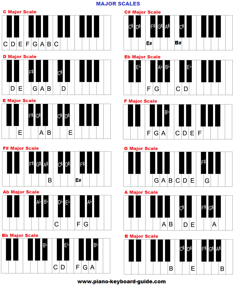 Major Minor Piano Scales Chart In Illustrator PDF Download Template