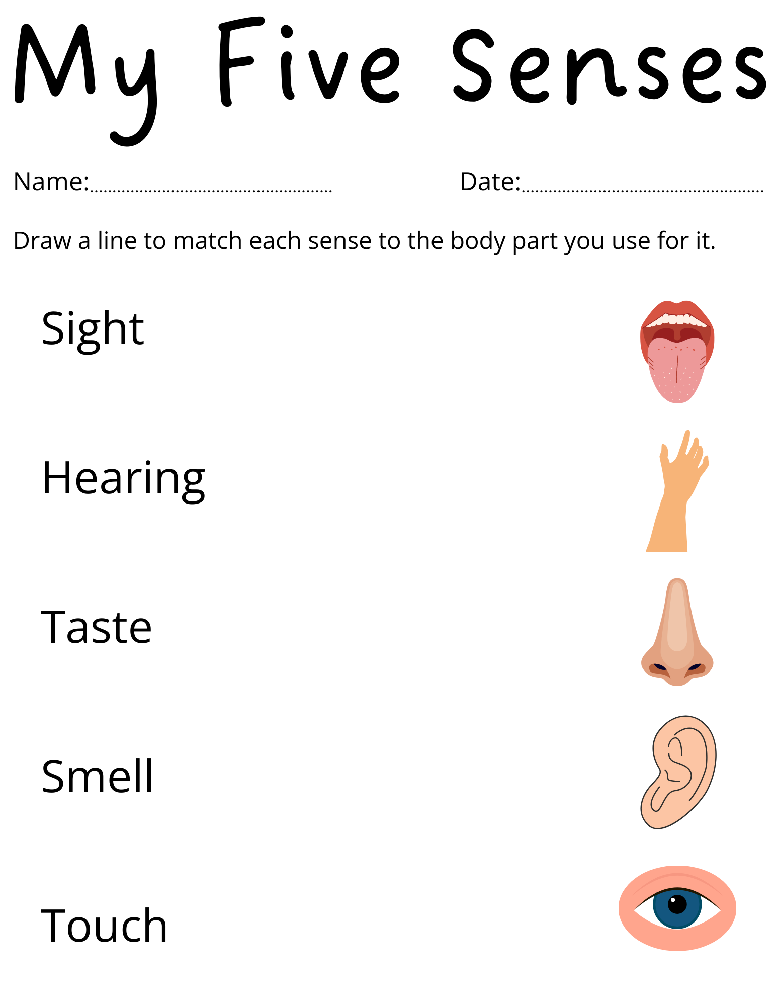 Printable 5 Senses Worksheets For Kindergarten Preschool Five Senses Activity Made By Teachers Printable 5 Senses Worksheets For Kindergarten Preschool Five Senses Activity Made By Teachers