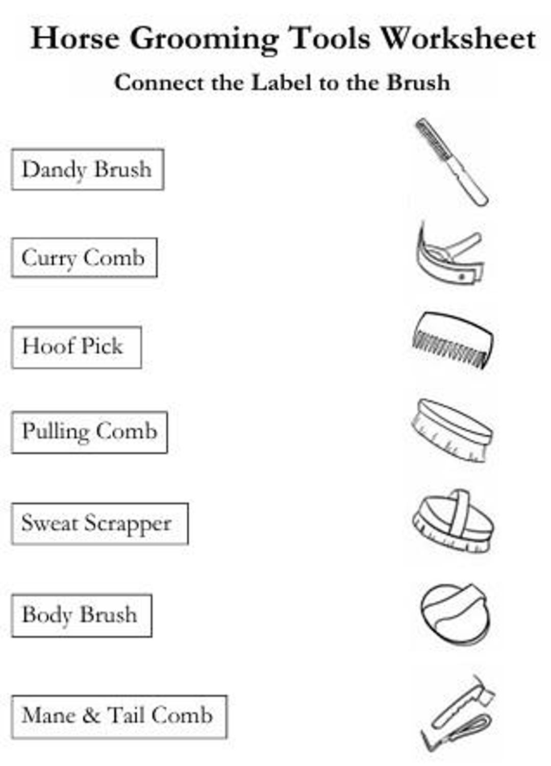 PRINTABLE Horse Grooming Tools Worksheet Etsy