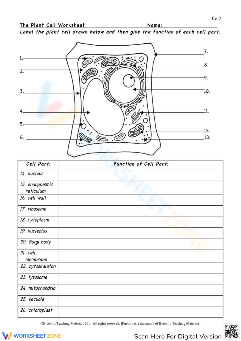 Printable Plant Cells Worksheets Printable Plant Cells Worksheets