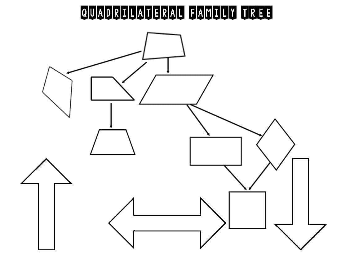 Quadrilateral Family Tree Always Sometimes Never Practice By A JAB At MATH Quadrilateral Family Tree Always Sometimes Never Practice By A JAB At MATH
