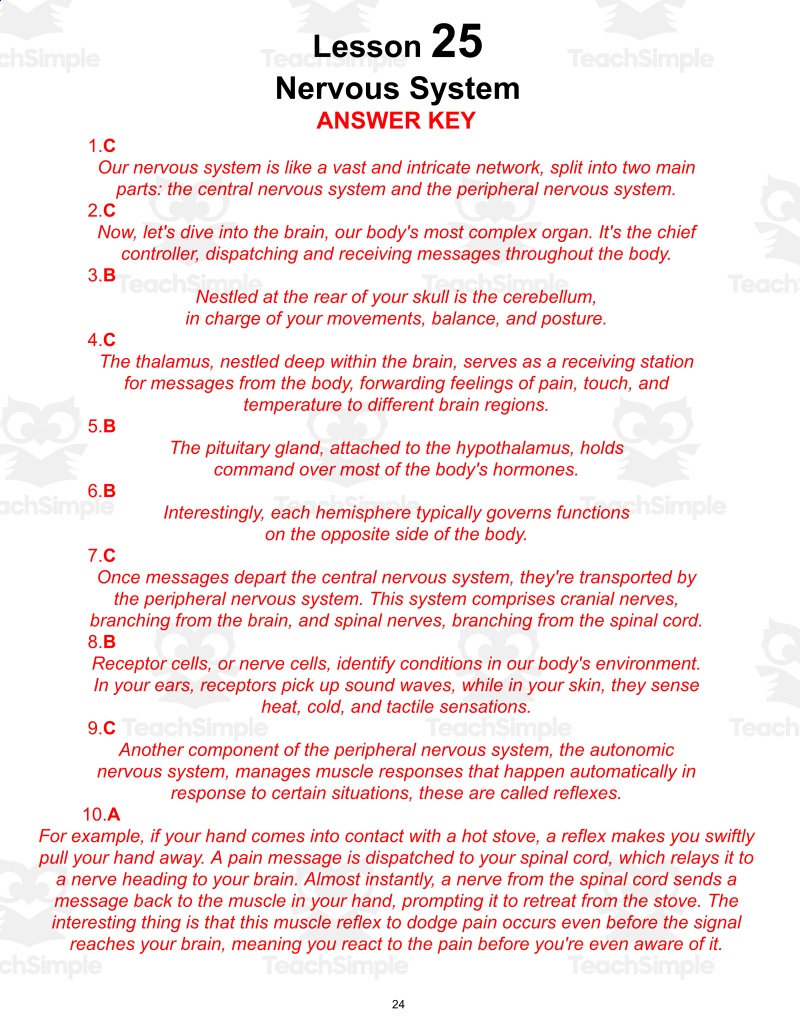 Science Reading Comprehension Passage 25 Nervous System PDF By Teach Simple Science Reading Comprehension Passage 25 Nervous System PDF By Teach Simple