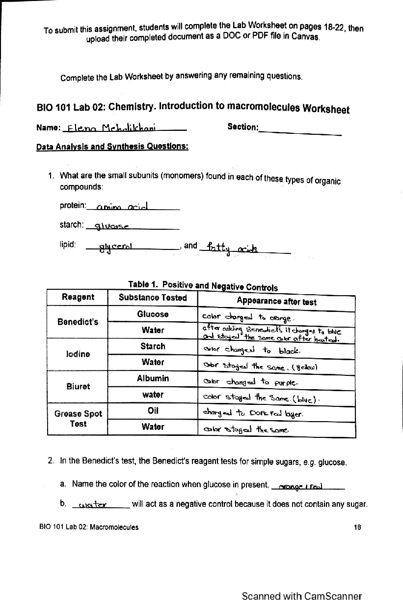 SOLUTION Introduction To Macromolecules Worksheet Bio 101 Studypool Worksheets Library SOLUTION Introduction To Macromolecules Worksheet Bio 101 Studypool Worksheets Library