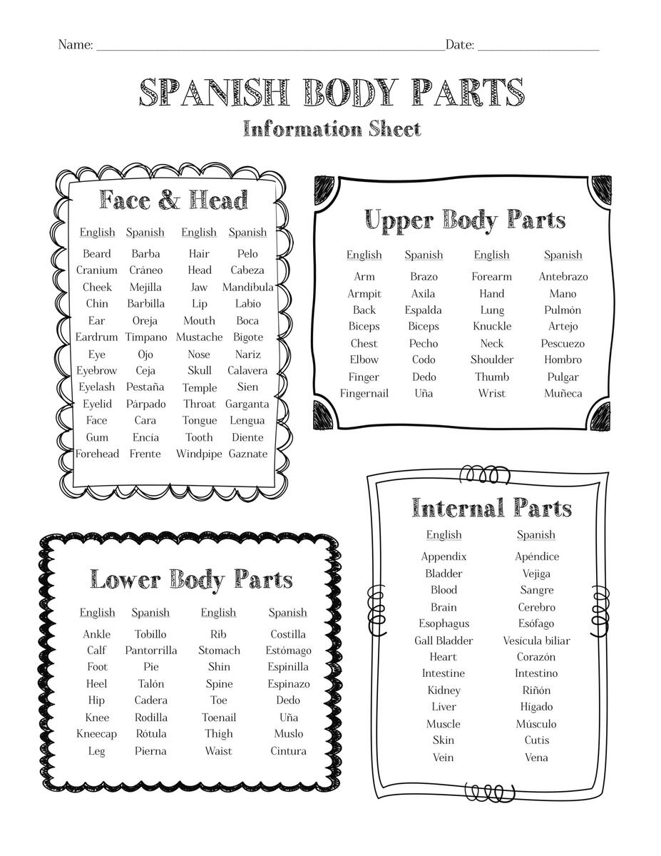 Spanish Body Parts Worksheet Packet Made By Teachers