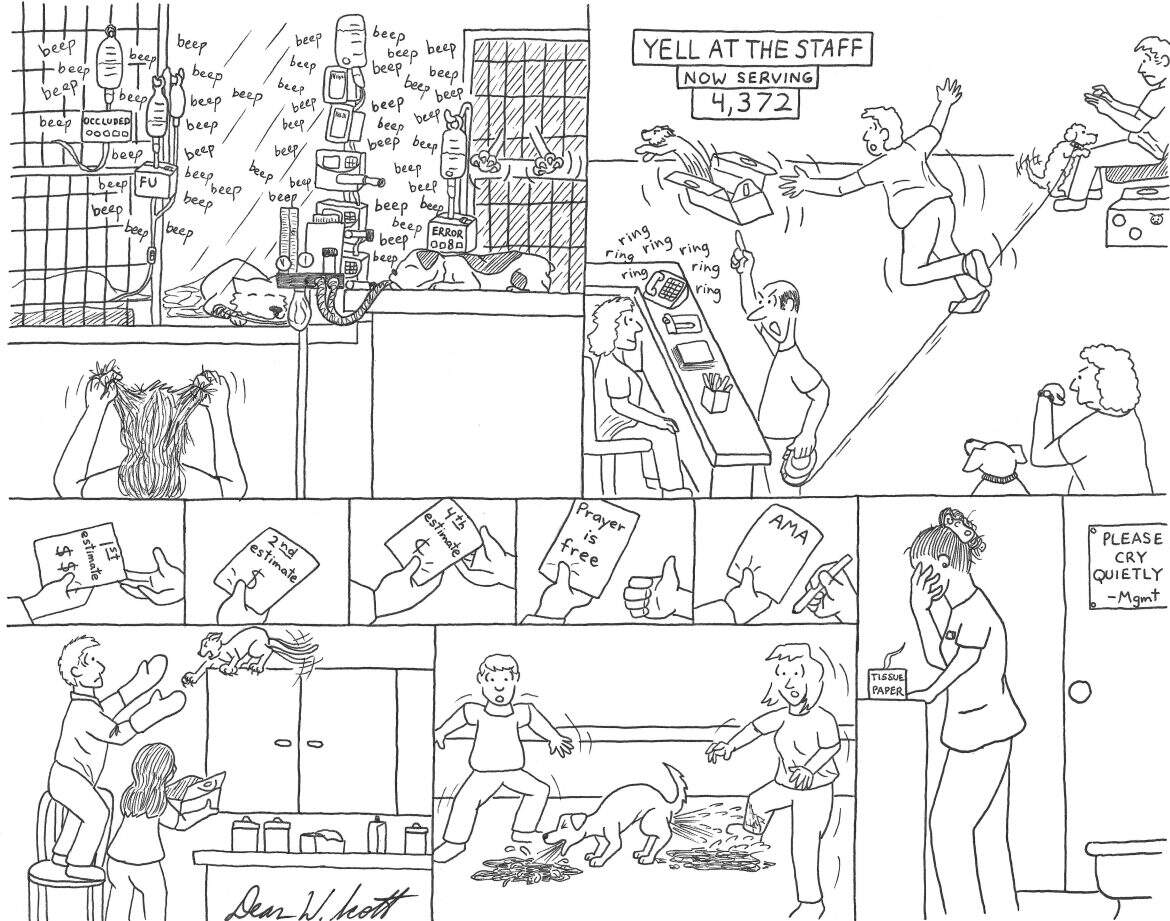 Spotlight Funny Vet Graphic Medicine