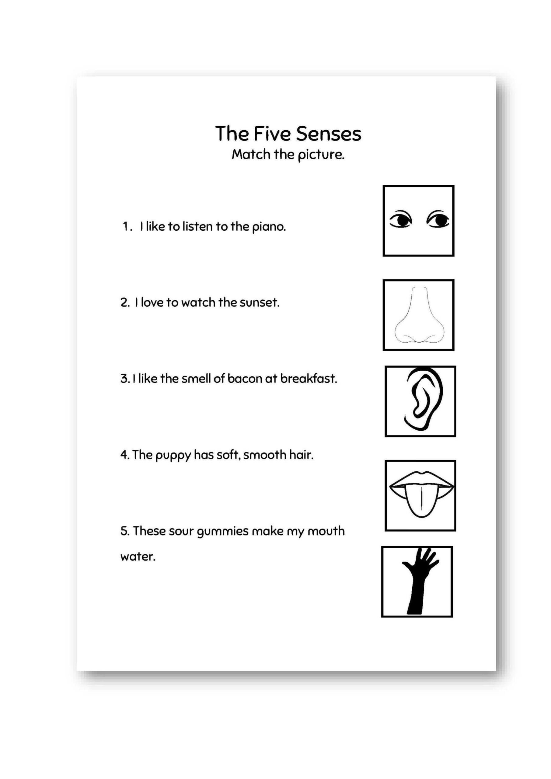 The Five Senses Worksheets 1st Grade Worksheets Teaching Materials Made By Teachers The Five Senses Worksheets 1st Grade Worksheets Teaching Materials Made By Teachers