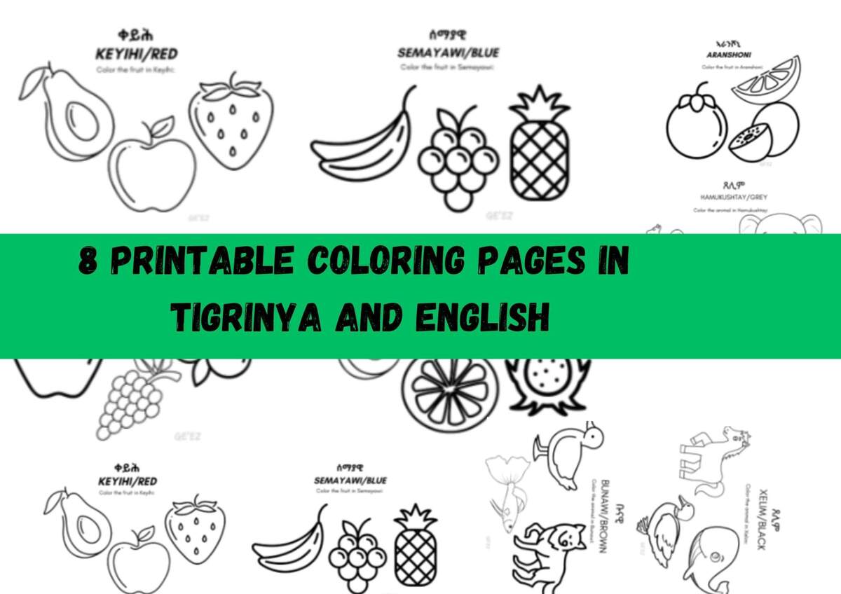 Tigrinya Book Etsy