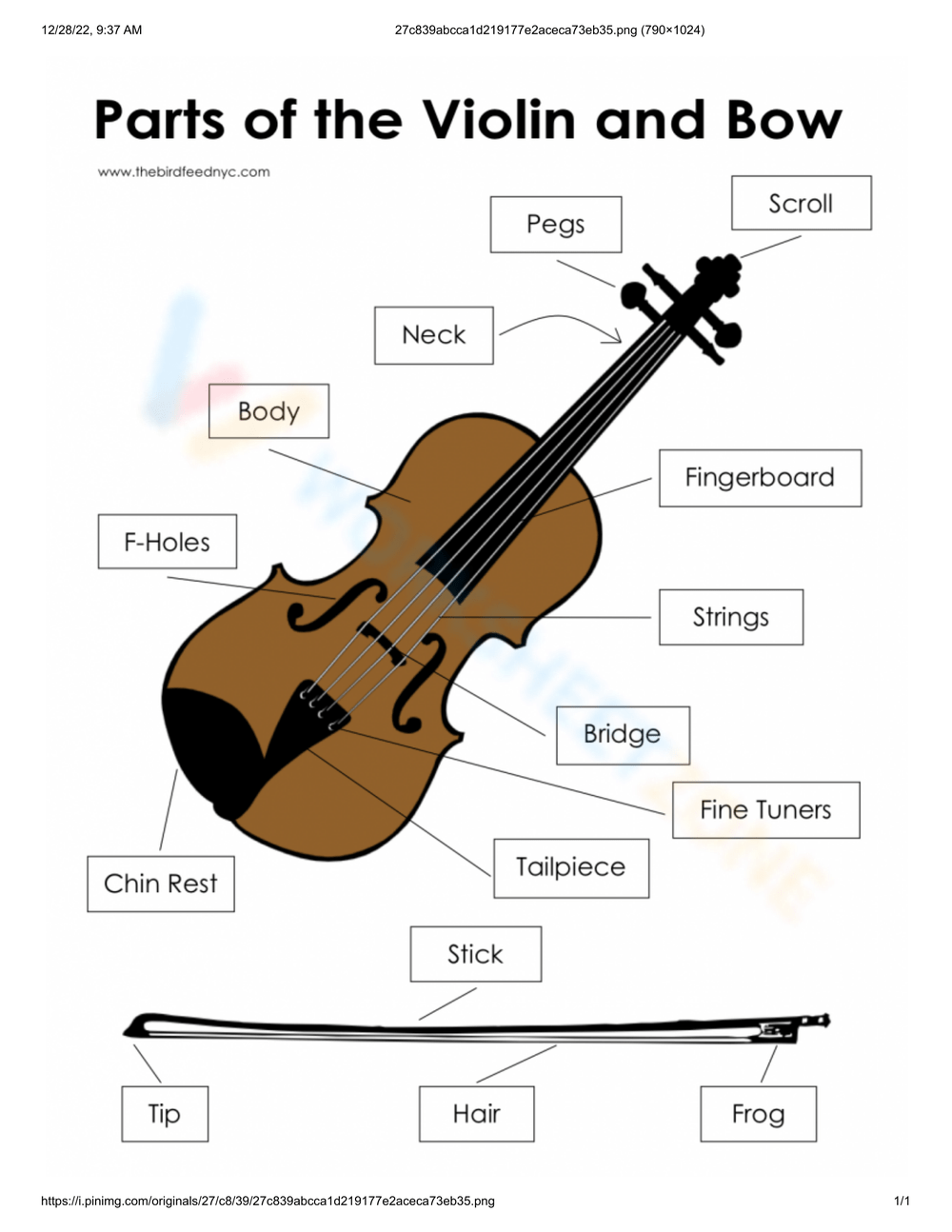 Violin Parts Musical Instrument Worksheet Violin Parts Musical Instrument Worksheet